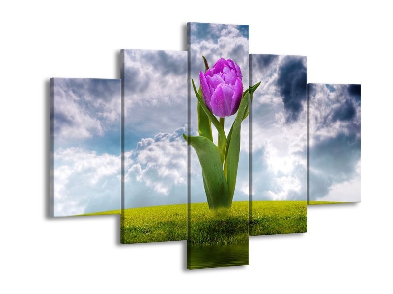 Glas schilderij Tulp | Paars, Grijs, Groen | 150x105cm 5Luik