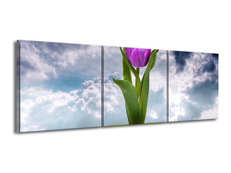 Canvas schilderij Tulp | Paars, Grijs, Groen | 150x50cm 3Luik