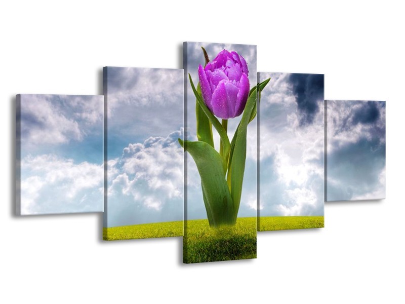 Glas schilderij Tulp | Paars, Grijs, Groen | 150x80cm 5Luik