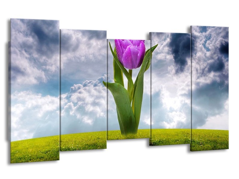 Glas schilderij Tulp | Paars, Grijs, Groen | 150x80cm 5Luik