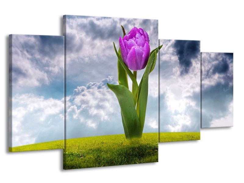 Glas schilderij Tulp | Paars, Grijs, Groen | 160x90cm 4Luik