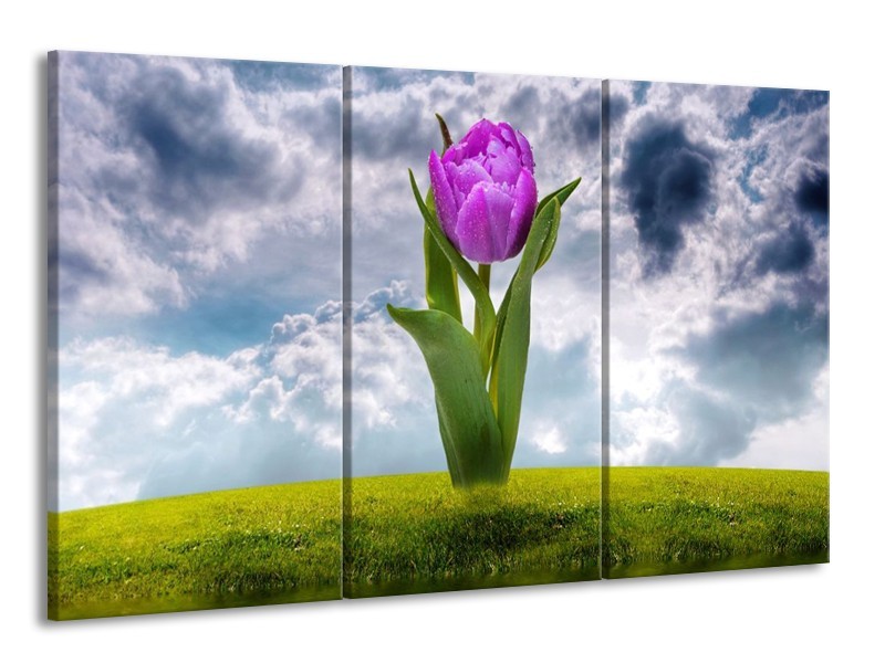 Canvas schilderij Tulp | Paars, Grijs, Groen | 165x100cm 3Luik