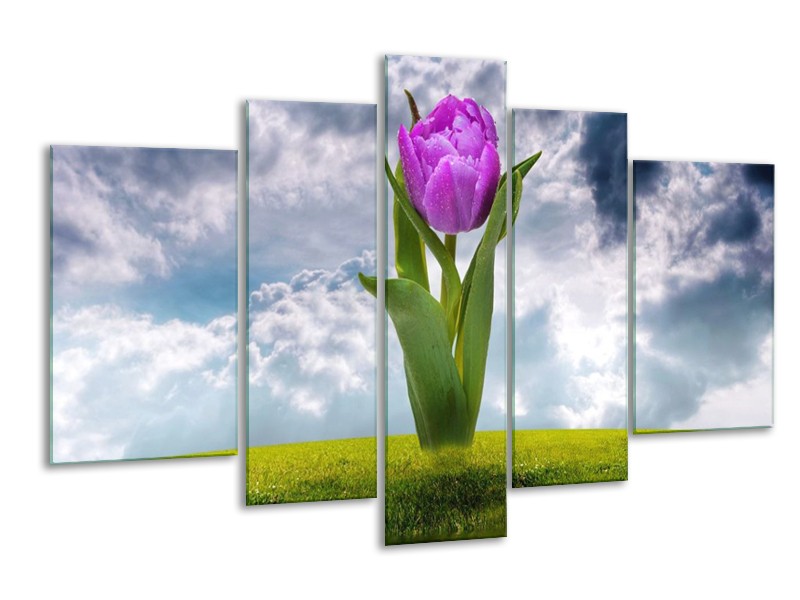 Glas schilderij Tulp | Paars, Grijs, Groen | 170x100cm 5Luik