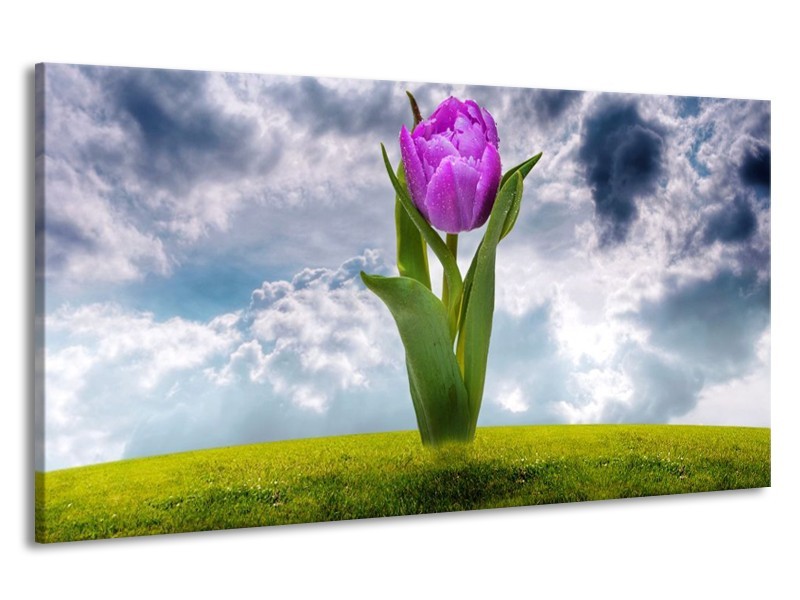 Canvas schilderij Tulp | Paars, Grijs, Groen | 190x100cm 1Luik