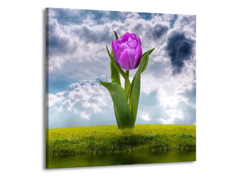 Glas schilderij Tulp | Paars, Grijs, Groen | 50x50cm 1Luik