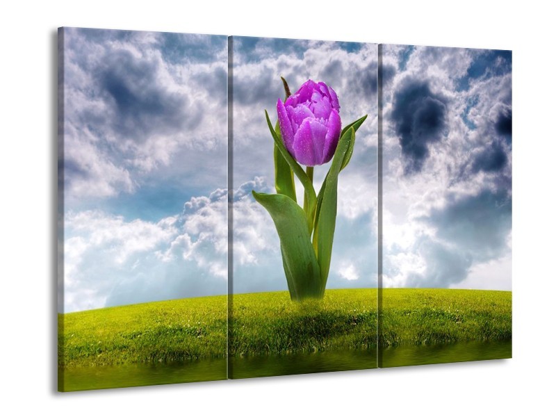 Canvas schilderij Tulp | Paars, Grijs, Groen | 90x60cm 3Luik