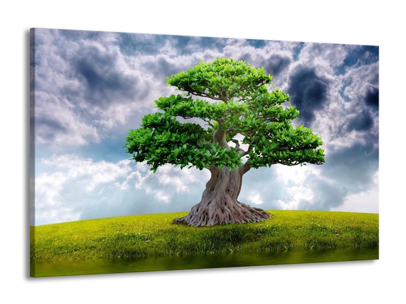 Canvas schilderij Boom | Groen, Grijs | 140x90cm 1Luik