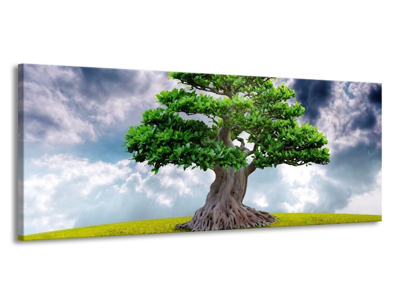 Glas schilderij Boom | Groen, Grijs | 145x58cm 1Luik