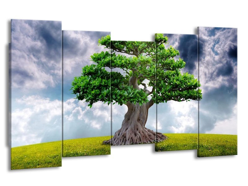Glas schilderij Boom | Groen, Grijs | 150x80cm 5Luik
