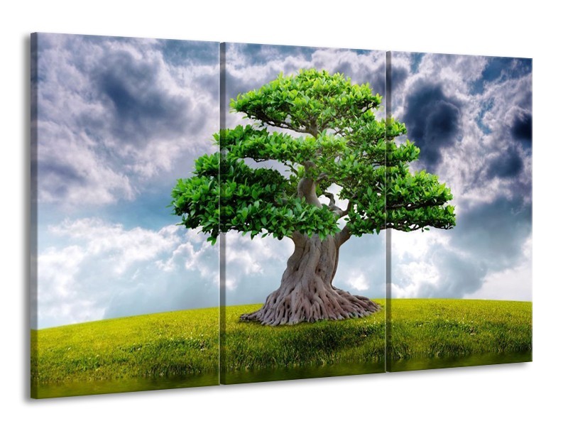 Glas schilderij Boom | Groen, Grijs | 165x100cm 3Luik