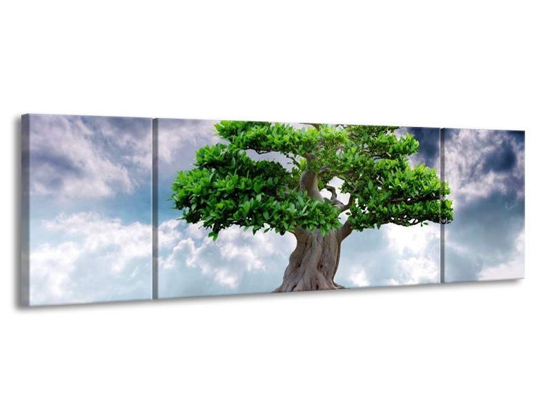 Glas schilderij Boom | Groen, Grijs | 170x50cm 3Luik