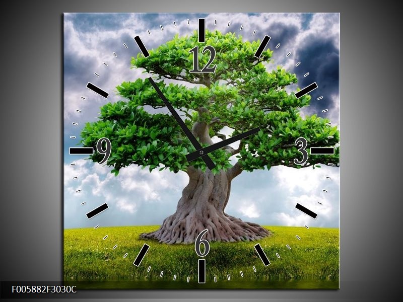 Klok schilderij Boom | Groen, Grijs | 30x30cm 1Luik