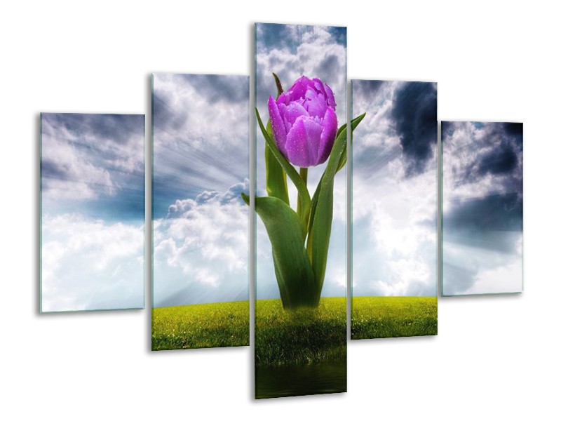 Glas schilderij Tulp | Grijs, Paars | 100x70cm 5Luik