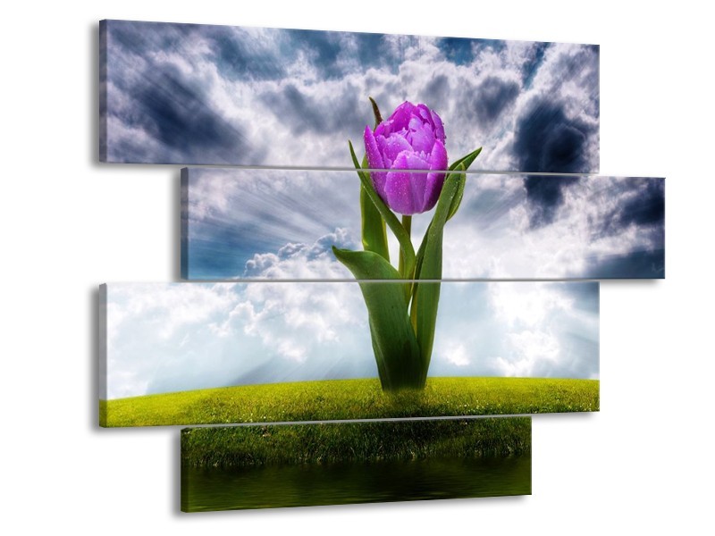 Glas schilderij Tulp | Grijs, Paars | 115x85cm 4Luik