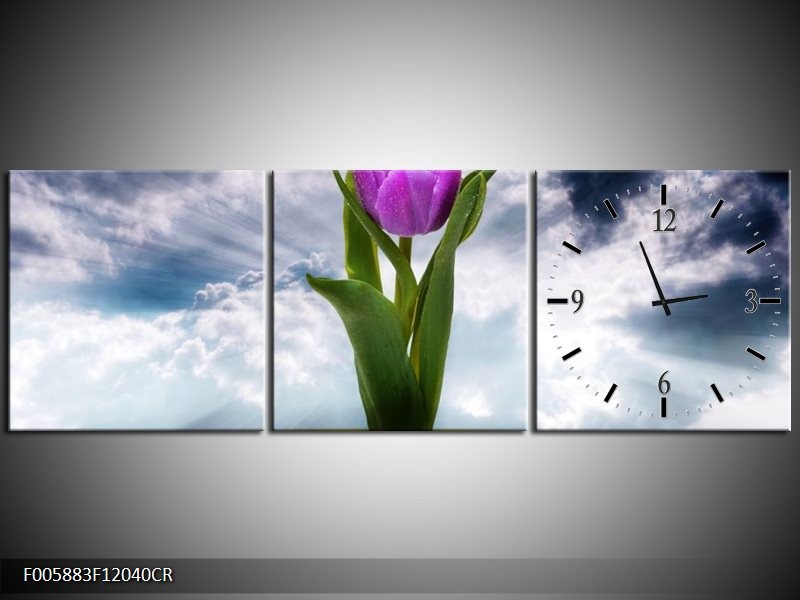 Klok schilderij Tulp | Grijs, Paars | 120x40cm 3Luik