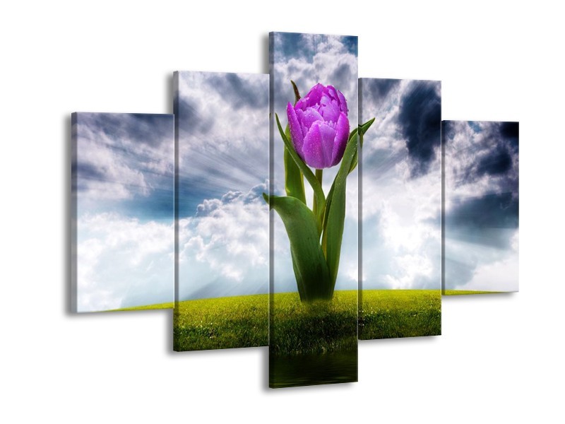 Glas schilderij Tulp | Grijs, Paars | 150x105cm 5Luik