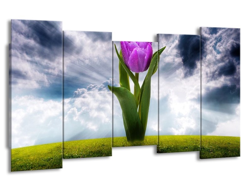 Canvas schilderij Tulp | Grijs, Paars | 150x80cm 5Luik