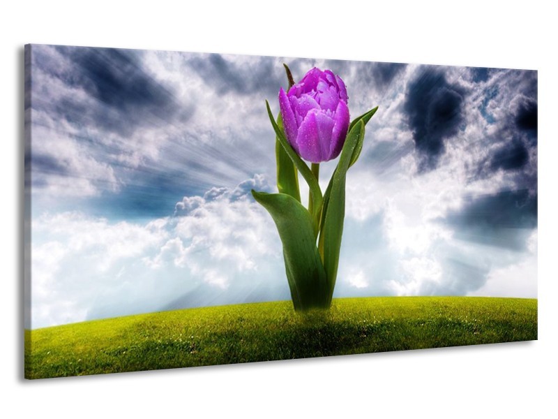 Canvas schilderij Tulp | Grijs, Paars | 190x100cm 1Luik