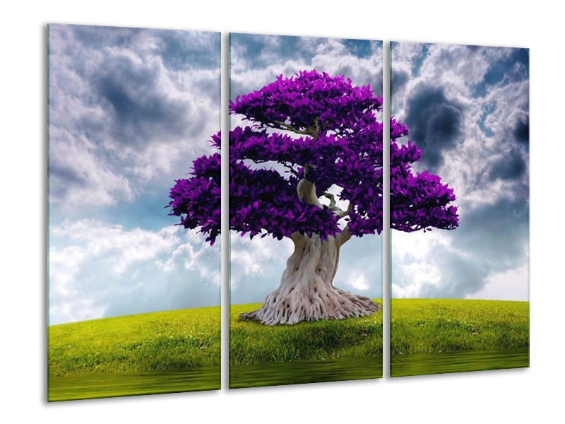 Canvas schilderij Boom | Paars, Grijs | 120x80cm 3Luik