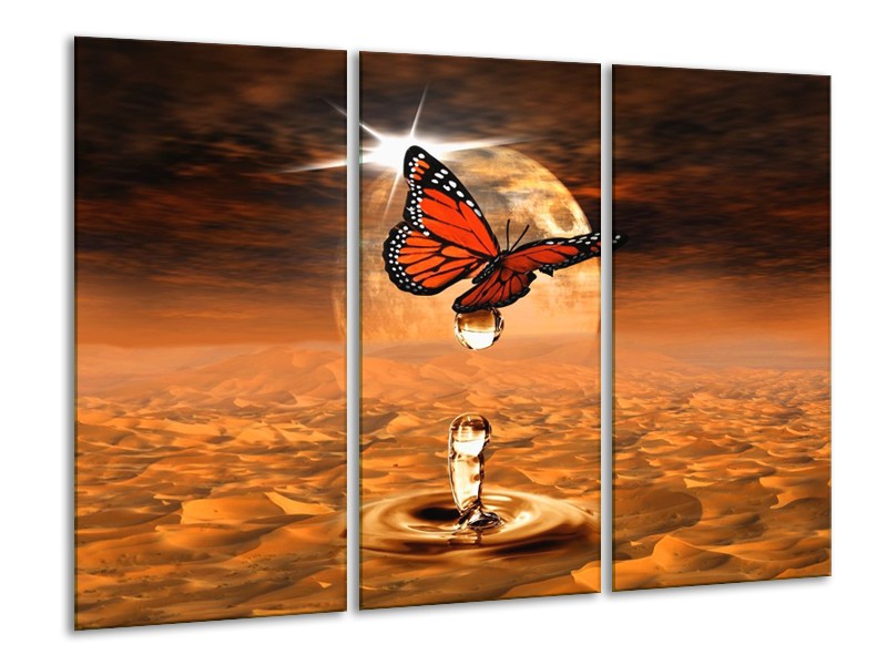 Canvas schilderij Vlinder | Bruin, Goud | 120x80cm 3Luik