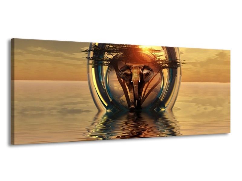 Glas schilderij Olifant | Goud, Bruin | 145x58cm 1Luik