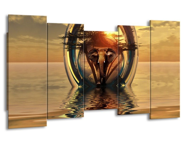 Glas schilderij Olifant | Goud, Bruin | 150x80cm 5Luik
