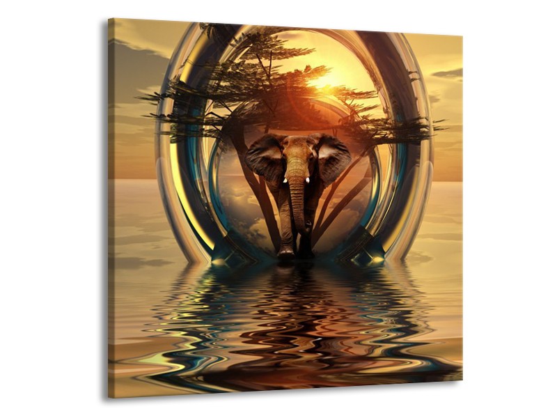 Glas schilderij Olifant | Goud, Bruin | 50x50cm 1Luik