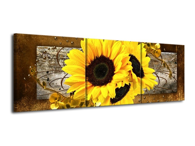 Canvas schilderij Zonnebloem | Geel, Bruin, Grijs | 120x40cm 3Luik