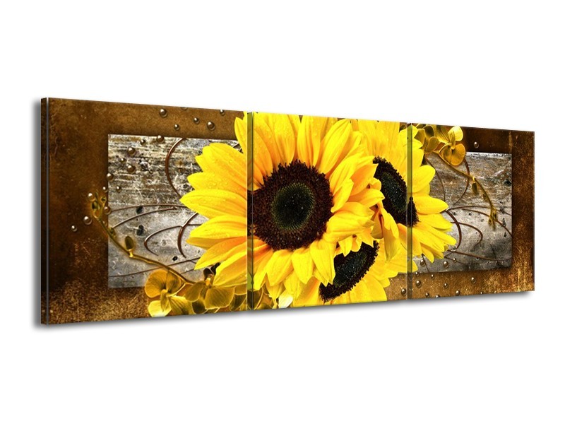 Glas schilderij Zonnebloem | Geel, Bruin, Grijs | 150x50cm 3Luik