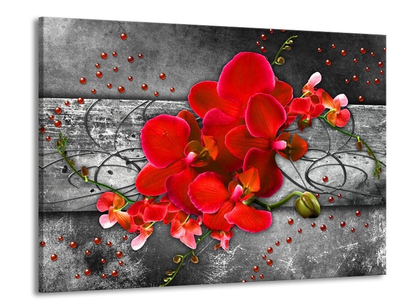 Canvas schilderij Orchidee | Rood, Grijs | 100x70cm 1Luik
