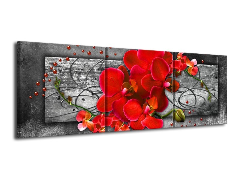 Glas schilderij Orchidee | Rood, Grijs | 120x40cm 3Luik