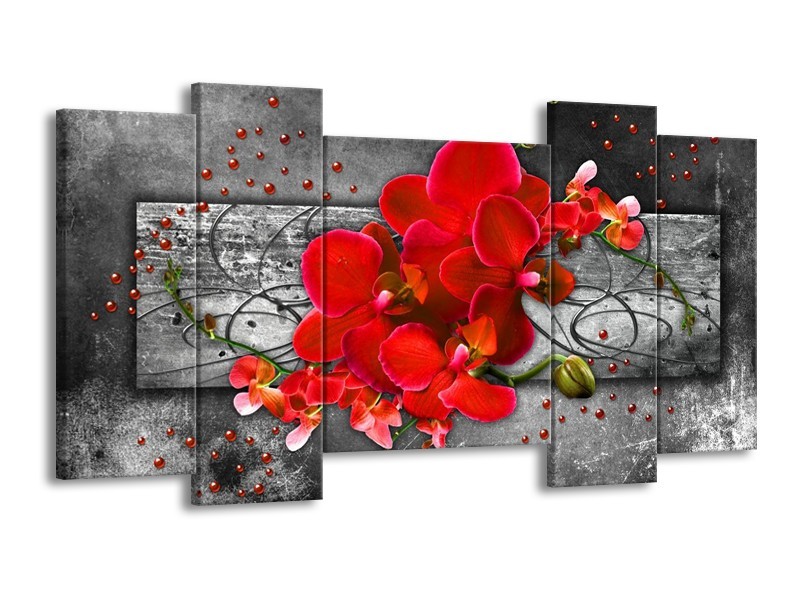 Canvas schilderij Orchidee | Rood, Grijs | 120x65 5Luik