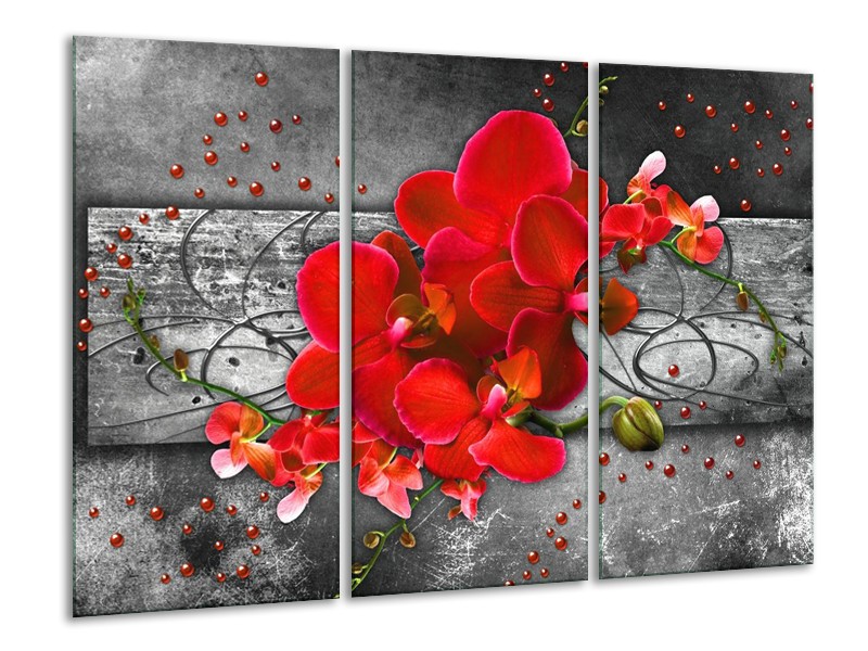 Glas schilderij Orchidee | Rood, Grijs | 120x80cm 3Luik