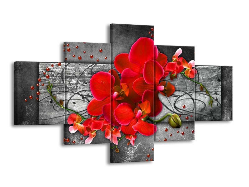 Glas schilderij Orchidee | Rood, Grijs | 125x70cm 5Luik