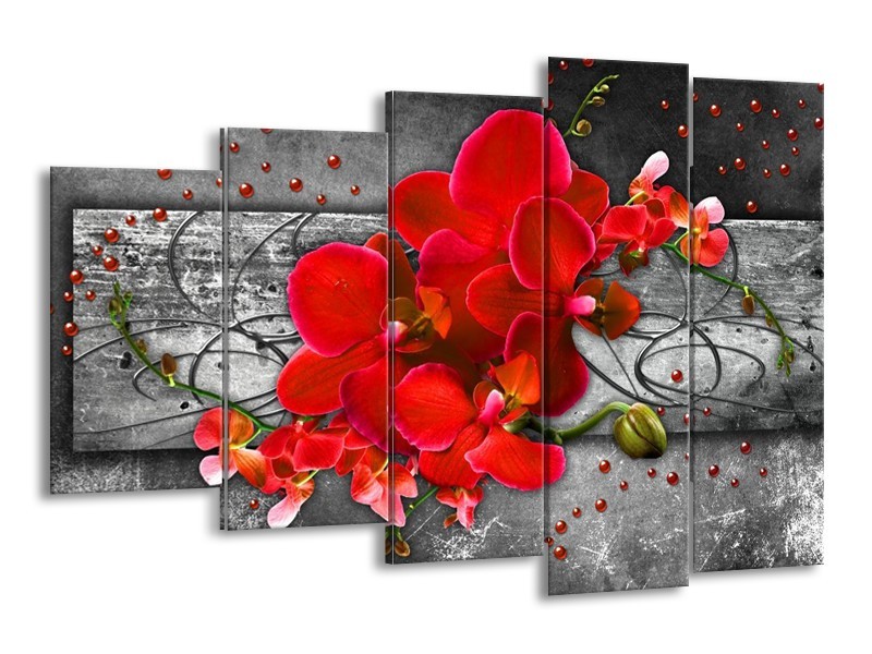 Canvas schilderij Orchidee | Rood, Grijs | 150x100cm 5Luik