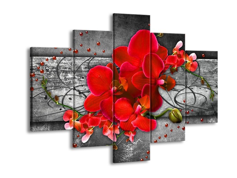 Canvas schilderij Orchidee | Rood, Grijs | 150x105cm 5Luik