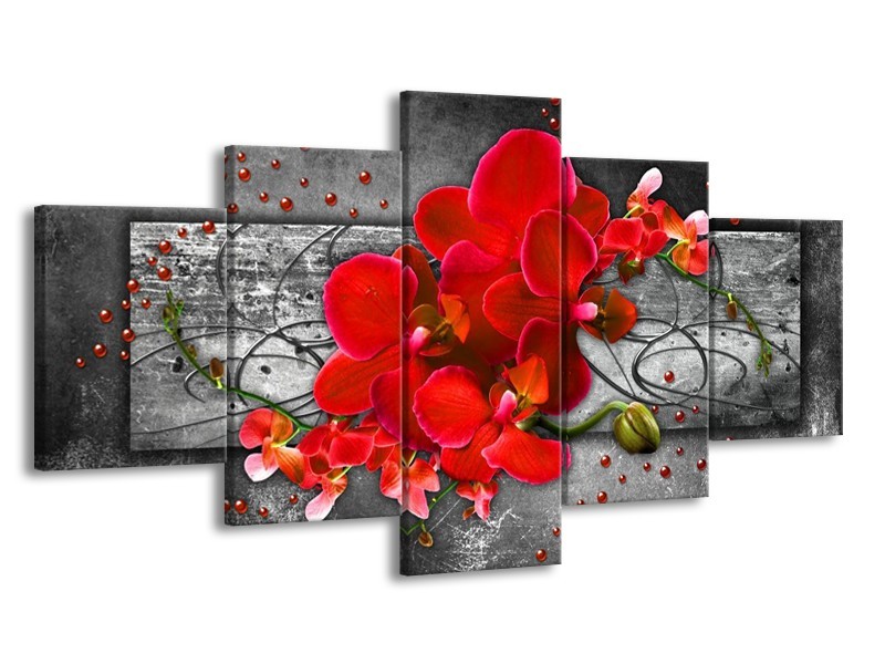 Canvas schilderij Orchidee | Rood, Grijs | 150x80cm 5Luik