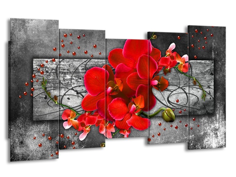 Glas schilderij Orchidee | Rood, Grijs | 150x80cm 5Luik