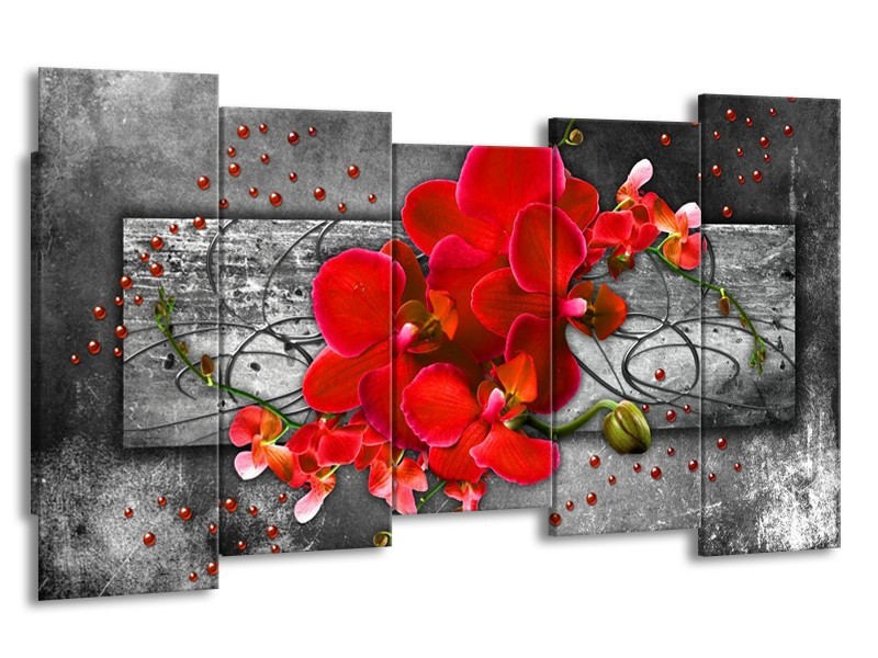 Canvas schilderij Orchidee | Rood, Grijs | 150x80cm 5Luik