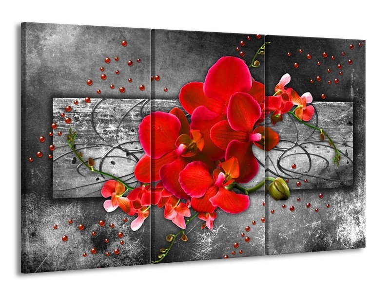 Canvas schilderij Orchidee | Rood, Grijs | 165x100cm 3Luik