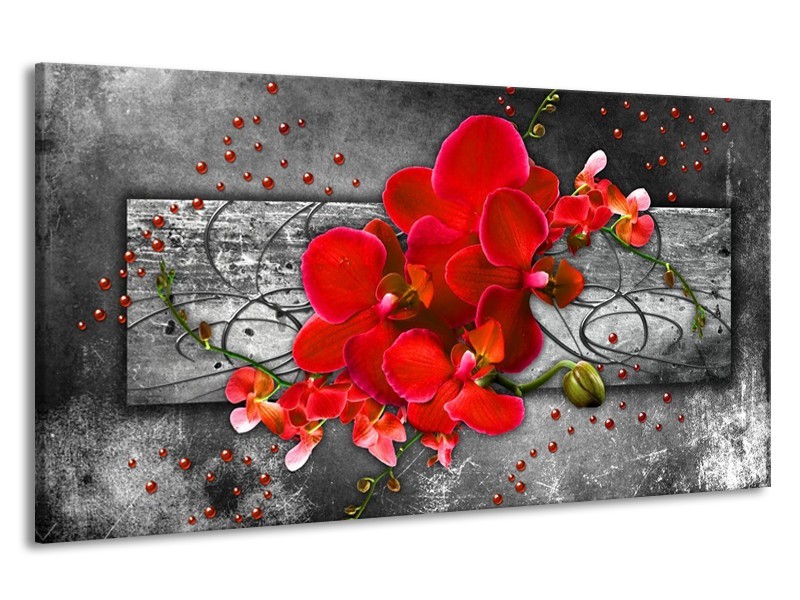 Canvas schilderij Orchidee | Rood, Grijs | 190x100cm 1Luik