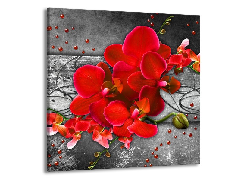 Canvas schilderij Orchidee | Rood, Grijs | 50x50cm 1Luik