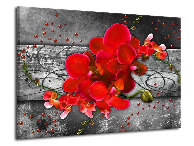 Canvas schilderij Orchidee | Rood, Grijs | 70x50cm 1Luik