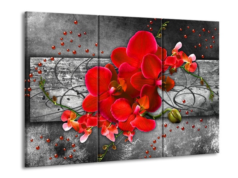 Glas schilderij Orchidee | Rood, Grijs | 90x60cm 3Luik