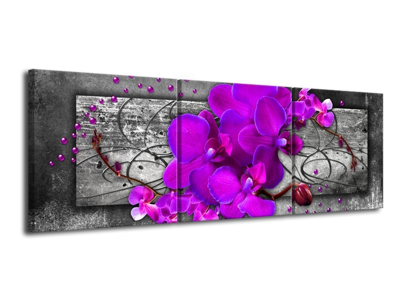 Canvas schilderij Orchidee | Paars, Grijs | 120x40cm 3Luik