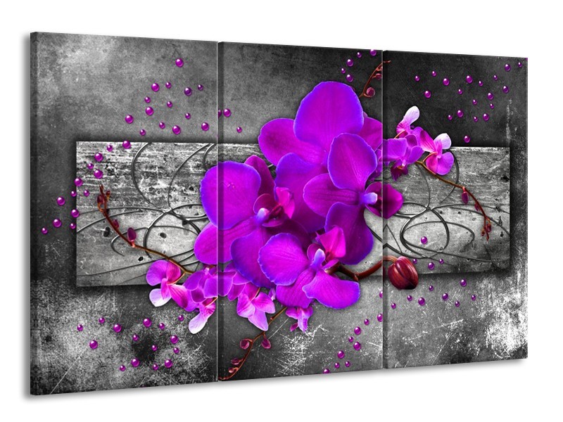 Canvas schilderij Orchidee | Paars, Grijs | 165x100cm 3Luik