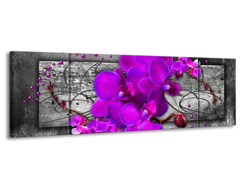 Canvas schilderij Orchidee | Paars, Grijs | 170x50cm 3Luik