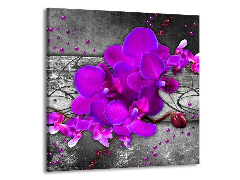 Canvas schilderij Orchidee | Paars, Grijs | 70x70cm 1Luik