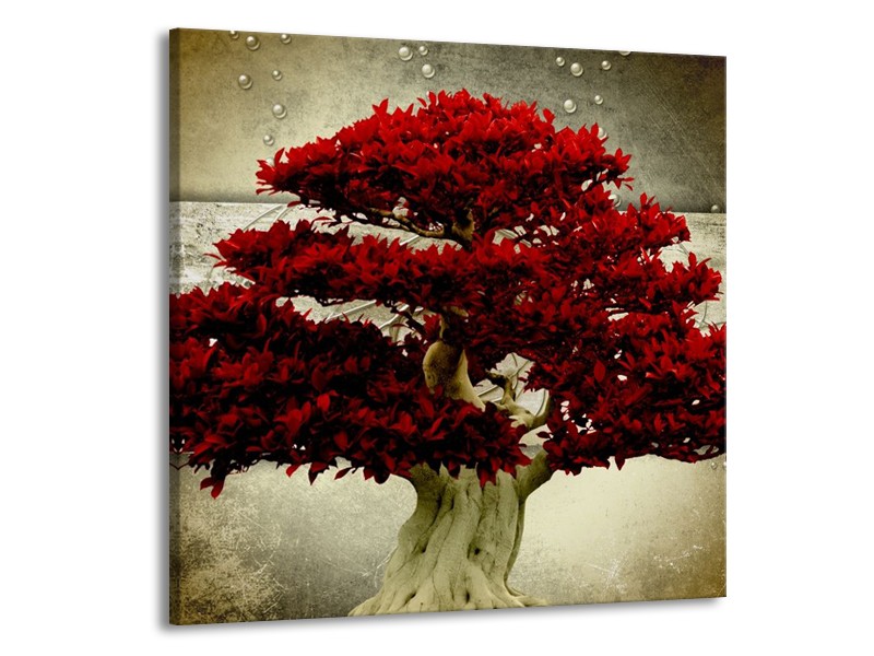 Canvas schilderij Boom | Rood, Bruin | 50x50cm 1Luik