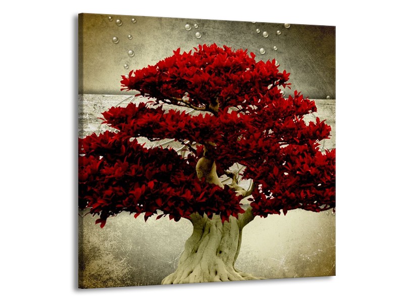 Canvas schilderij Boom | Rood, Bruin | 70x70cm 1Luik